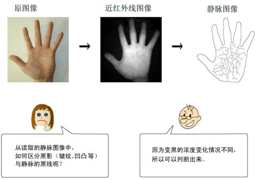 富士通非接触型手掌静脉识别系统概述及应用