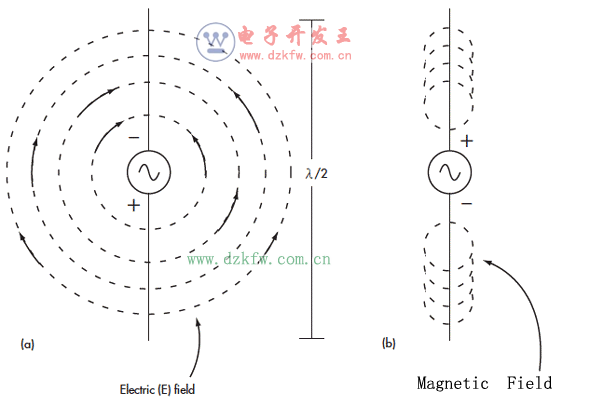 围绕着半波偶极子的电磁场包括一个电场(a)和一个磁场(b)。电磁场均为球形且互成直角。